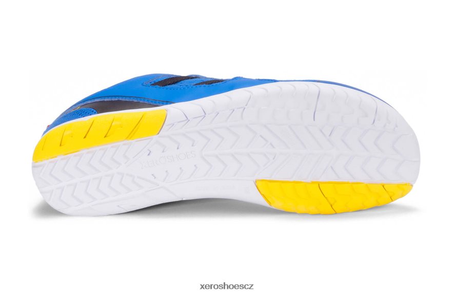 Z420TP46 zelená - modrá Xero Shoes narozený běžet boty ¨ c muži