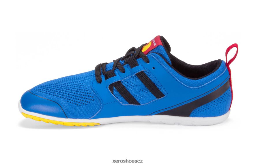 Z420TP46 zelená - modrá Xero Shoes narozený běžet boty ¨ c muži