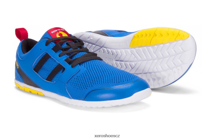 Z420TP46 zelená - modrá Xero Shoes narozený běžet boty ¨ c muži