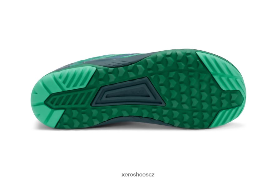 Z420TP113 odrážející rybník Xero Shoes hfs ii - lehký silniční běžec
